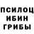 Галлюциногенные грибы Cubensis ned test