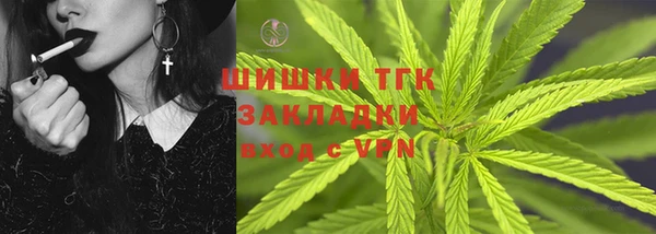 индика Арсеньев