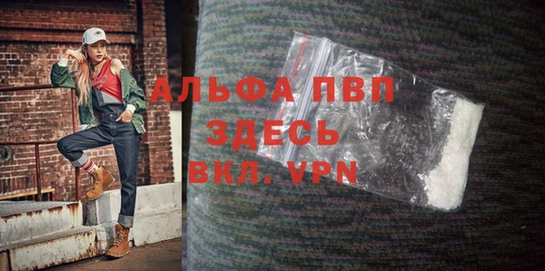 гашик Богданович