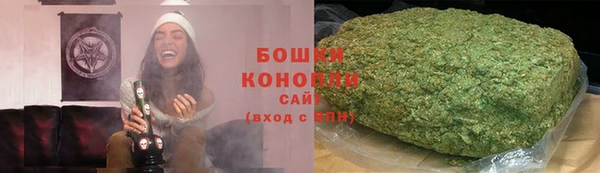 гашик Богданович