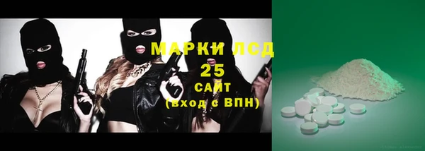 индика Арсеньев