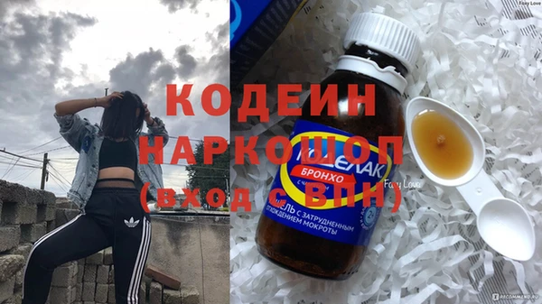 индика Арсеньев
