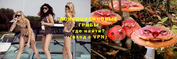 гашик Богданович