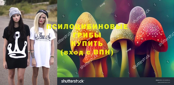 индика Арсеньев