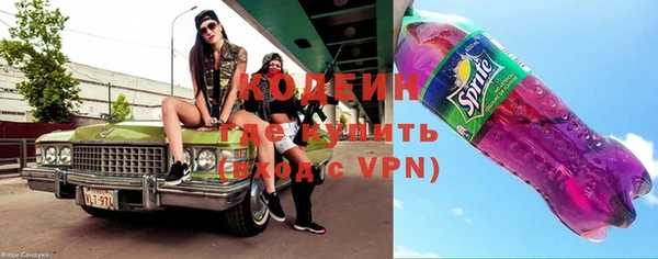 индика Арсеньев