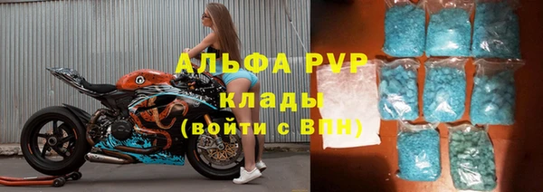 индика Арсеньев